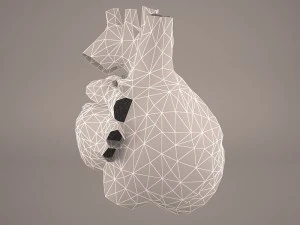 मानव हृद्य 3D मॉडल