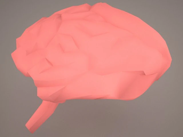 digestive system 3D Model .c4d .max .obj .3ds .fbx .stl .blend 