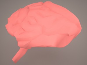 digestive system 3D Model