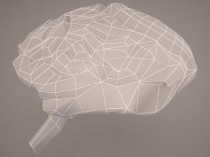 digestive system 3D Модель