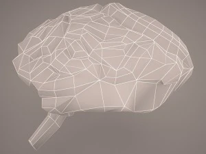 digestive system 3D Model