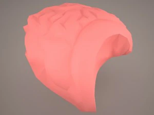 digestive system 3D Model