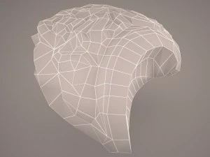 digestive system 3D Model