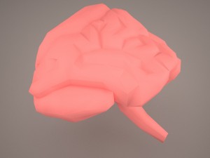 digestive system 3D Модель