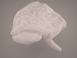 digestive system 3D Модель