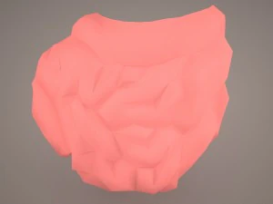 digestive system 3D Model