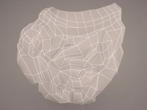 digestive system 3D Model