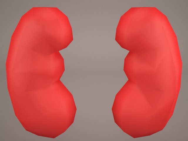 kidney 3D 模型 .c4d .max .obj .3ds .fbx .stl .blend 