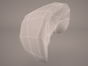 human liver 3D Модель