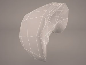 human liver 3D Model