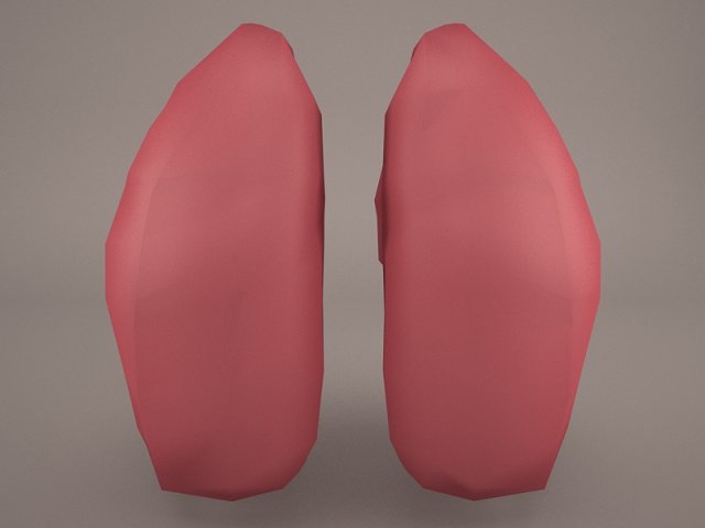 respiratory system 3D मॉडल .c4d .max .obj .3ds .fbx .stl .blend 