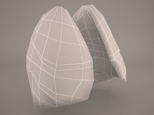 respiratory system 3D मॉडल