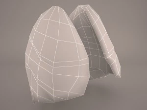 respiratory system 3D Model