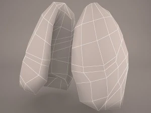 respiratory system 3D Model