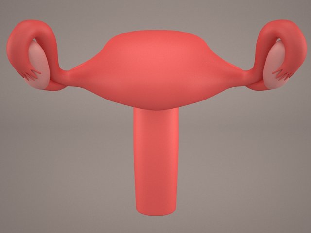 ovaries 3D Модель .c4d .max .obj .3ds .fbx .stl .blend 