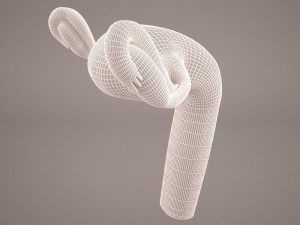 ovaries 3D Модель