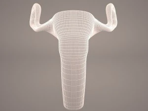 ovaries 3D Model
