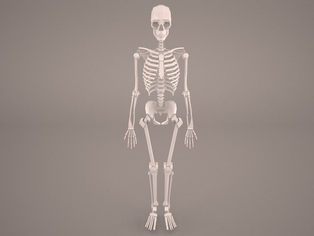 skeleton 3D-Modell .c4d .max .obj .3ds .fbx .stl .blend 