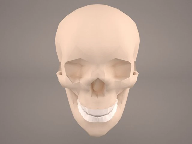 skull 2 3D Model .c4d .max .obj .3ds .fbx .stl .blend 