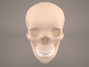 skull 2 Modèle 3D