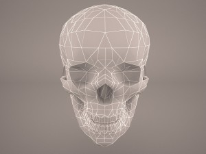 skull 2 Modello 3D