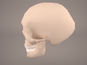 skull 2 Modello 3D