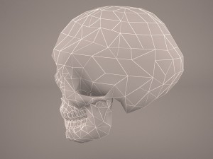 skull 2 Modello 3D