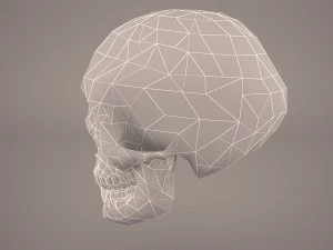 skull 2 3D Model