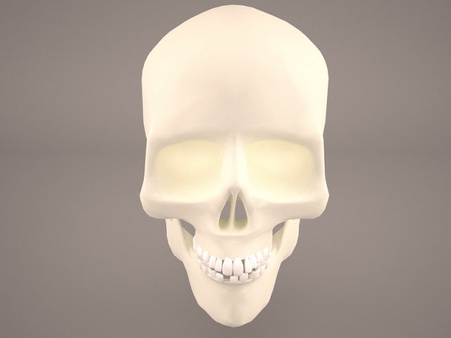 skull 3 Modelo 3D .c4d .max .obj .3ds .fbx .stl .blend 