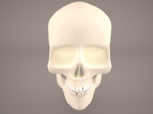skull 3 Modelo 3D
