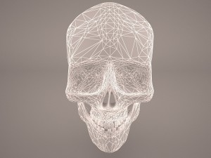 skull 3 Modelo 3D
