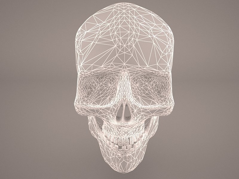 Skull 3d model