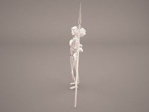 skeleton warrior Modelo 3D