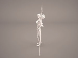 guerrero esqueleto Modelo 3D