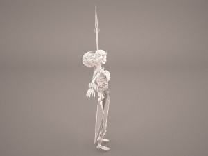 skeleton warrior Modelo 3D