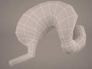 stomach Modello 3D