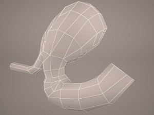 stomach Modello 3D