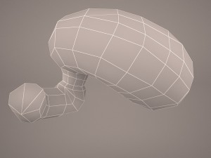 stomach Modello 3D