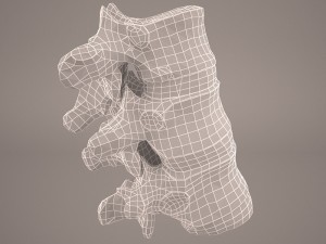 vertabrae 3D Model