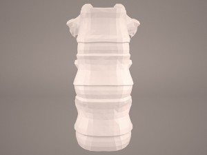 vertabrae 3D Model