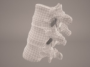 vertabrae 3D Model
