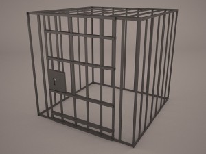 human cage Modelo 3D