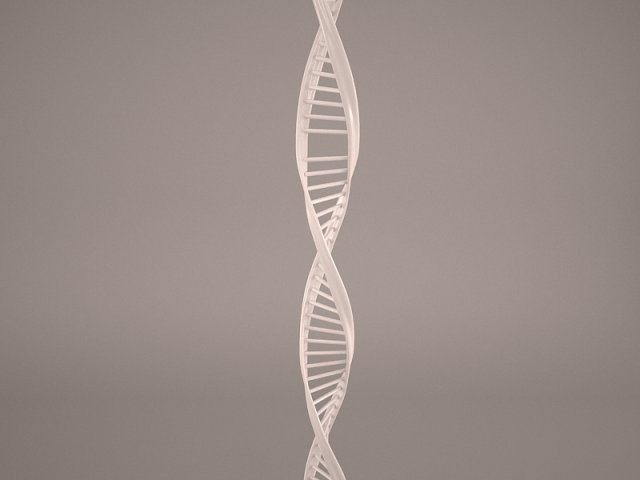dna model Model 3D .c4d .max .obj .3ds .fbx .stl .blend 