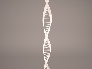 dna model Model 3D