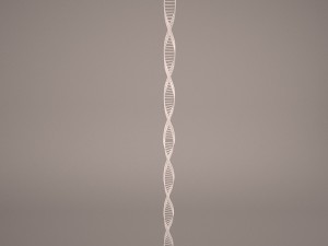 dna model Model 3D