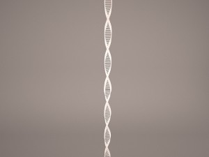 dna model Model 3D