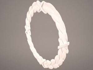 laurel leaves 3D Model