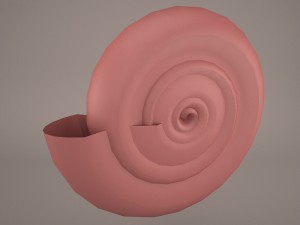 seashell nautilus 3D 모델