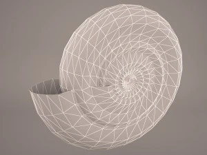 seashell nautilus 3D Model