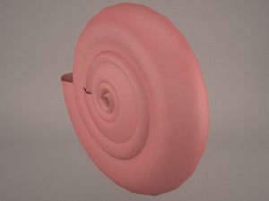 seashell nautilus Modelo 3D